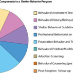 Behavioral Assessment In Animal Shelters Animal Shelter Assessment