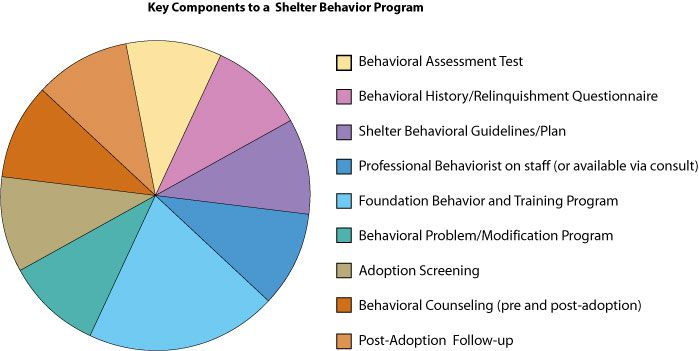 Behavioral Assessment In Animal Shelters Animal Shelter Assessment 