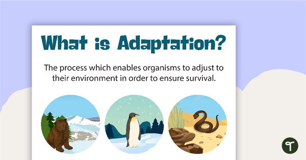 Behavioural Structural And Physiological Adaptations Teach Starter