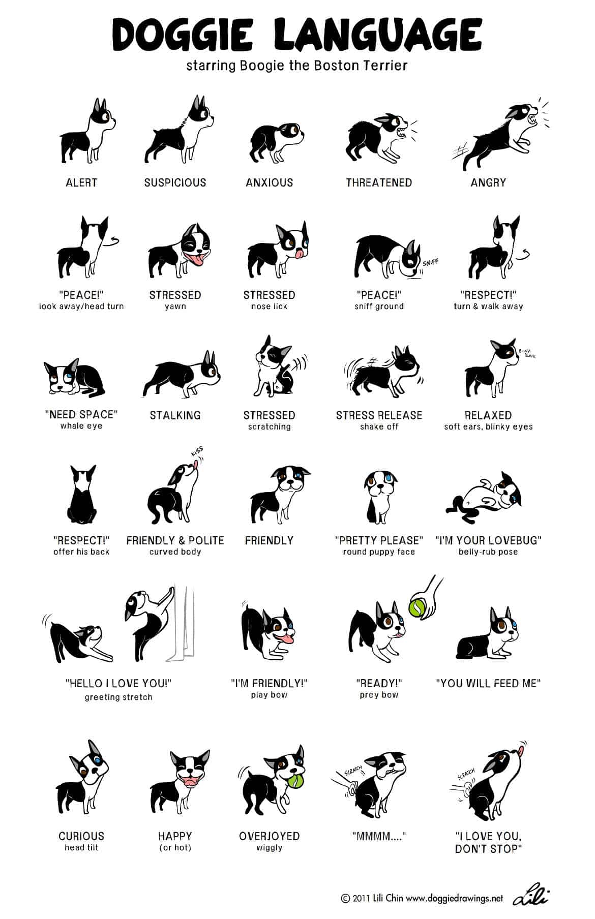 Canine Behavior Chart BehaviorChart