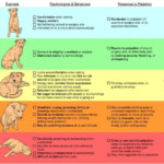 Dog Behavior Chart Pet Tips Dog Behavior Chart First Aid For Dogs