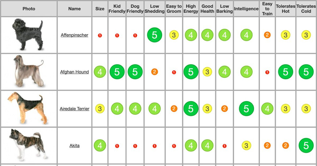 Eric Rowell On Twitter Ultimate Dog Breed Chart Via ericdrowell 