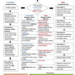 Excellent Flow Chart For School Interventions And Who Is Responsible