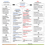 Excellent Flow Chart For School Interventions And Who Is Responsible