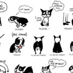 How One Cat Loving Artist Found Herself Dedicating Her Life To Dogs