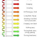 Ladder Of Aggression The Blue Dog