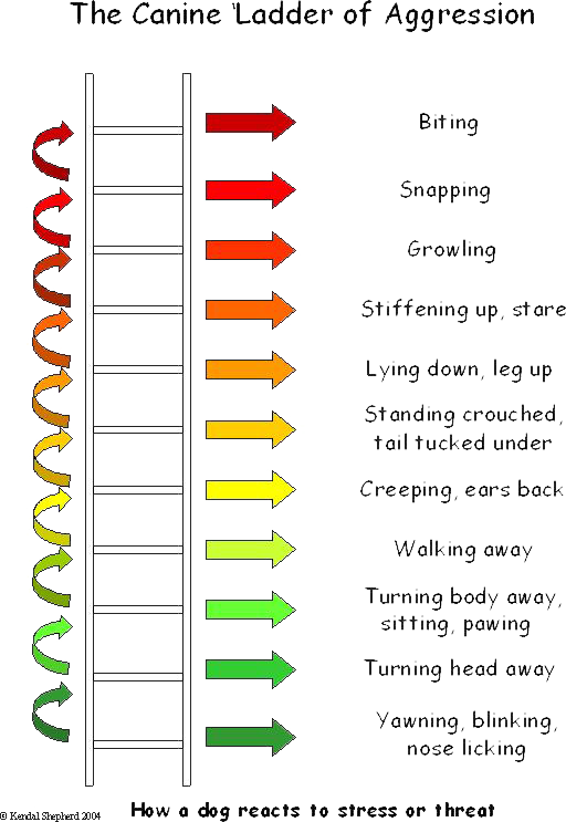 Ladder Of Aggression The Blue Dog