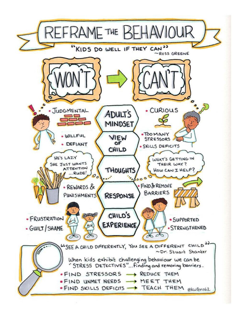 Reframe The Behavior Flow Chart