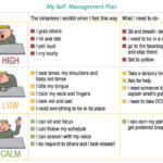 Strategies For Behavior Improvement Differently Abled