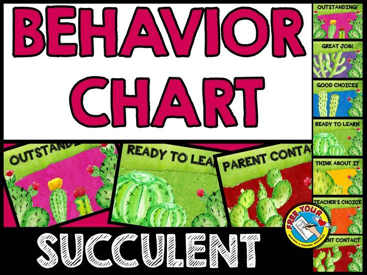 Succulent Classroom Decor cactus Behavior Clip Chart Behavior Clip 