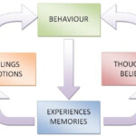 The Behaviour Cycle