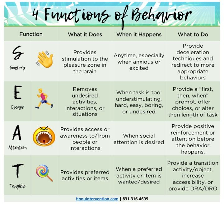 4 Functions Of Behaviors Aba Therapy For Autism Therapy For Autism 