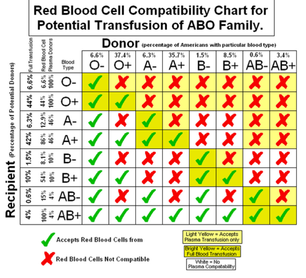 Abo Blood Group Test Pdf