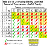 Abo Blood Group Test Pdf