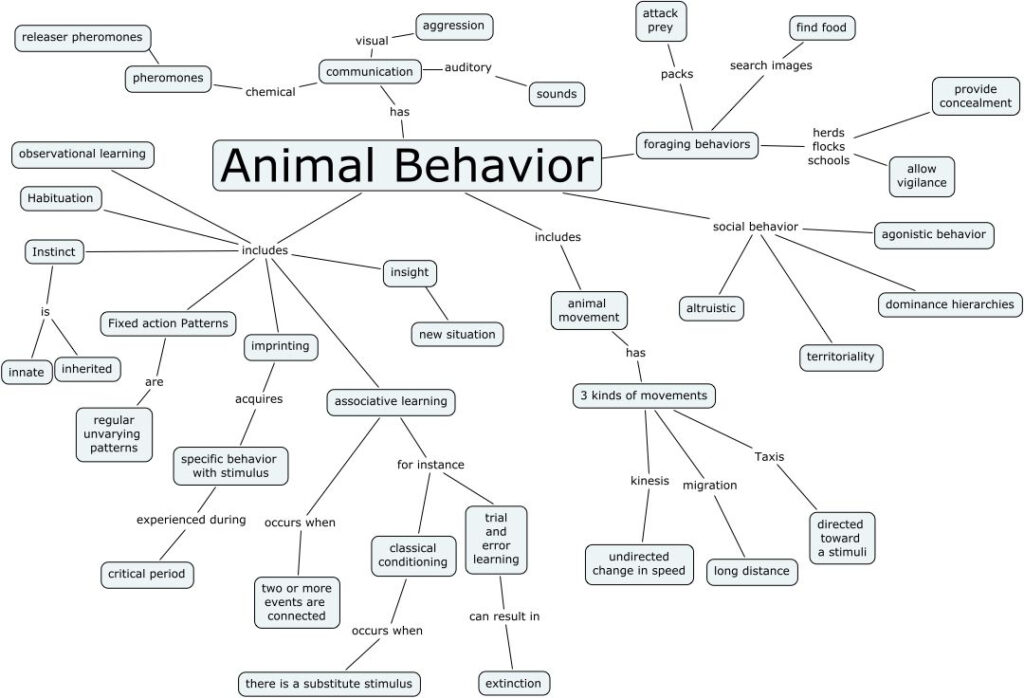 Animal Behavior cmap 1080 736 Animal Behavior Observational 