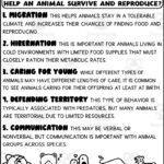 Animal Behaviors Printable By Teach Simple