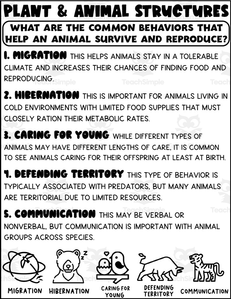 Animal Behaviors Printable By Teach Simple