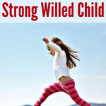 Behavior Chart For Strong Willed Child A Visual Reference Of Charts