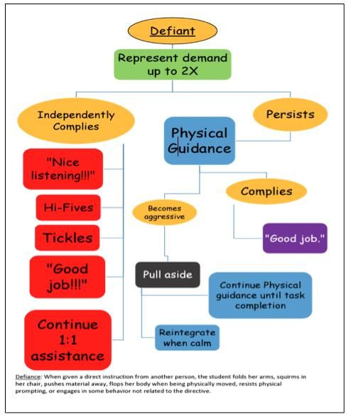 Behavior Flow Chart Template