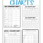 Behavior Management Charts For Individual Students