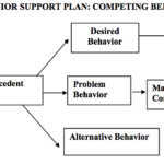 Behavior Pathway Chart