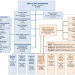 Behavioral Health Organization Chart