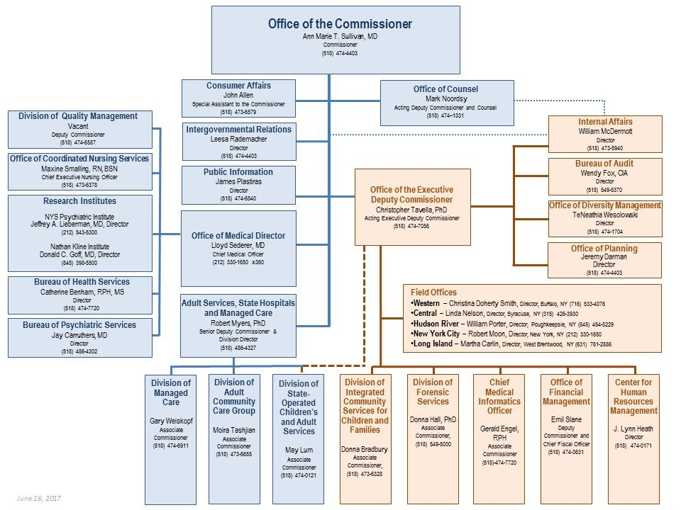 Behavioral Health Organization Chart