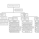 Behavioral Health Organization Chart