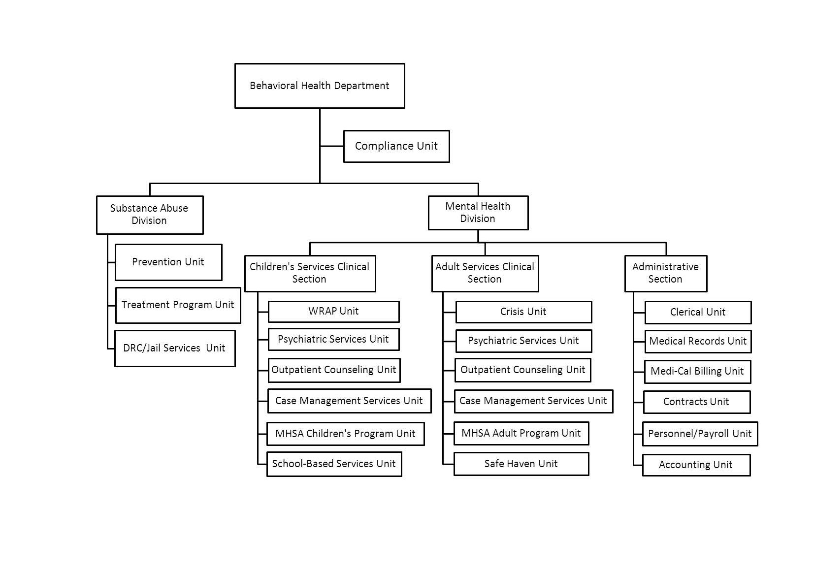 Behavioral Health Organization Chart