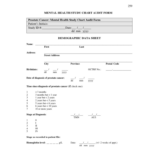 Behavioral Mental Health Chart Audit Form BehaviorChart