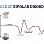 Cycle Of Bipolar Disorder And Rapid Emotional Mood Changes Outline