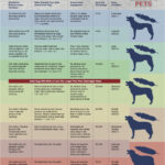 Dog Body Score Chart