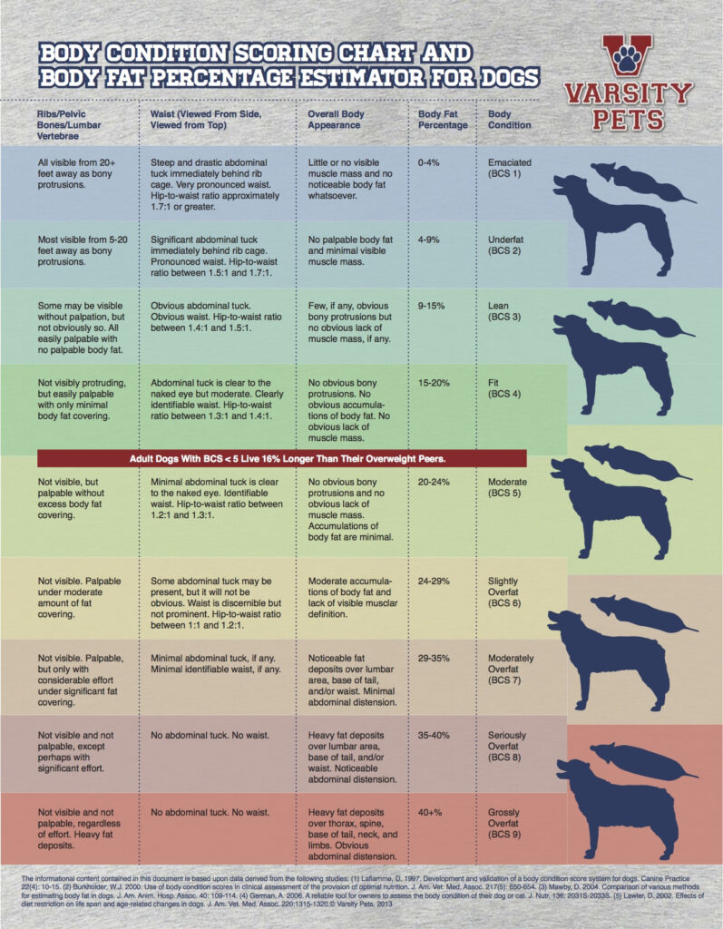 Dog Body Score Chart