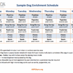 Dog Enrichment Schedule Dog Enrichment Animal Shelter Design Dog