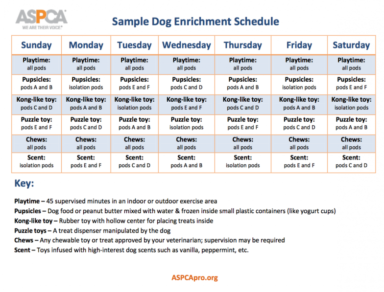 Dog Enrichment Schedule Dog Enrichment Animal Shelter Design Dog 