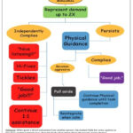 Flow Chart Cheat Sheet Make A Behavior Plan Easy To Follow The