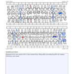 Free Spanish Printable Dental Charting Forms Printabl Vrogue co