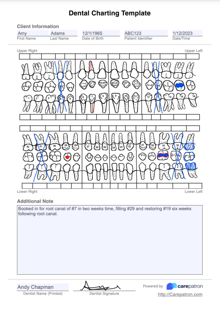 Free Spanish Printable Dental Charting Forms Printabl Vrogue co