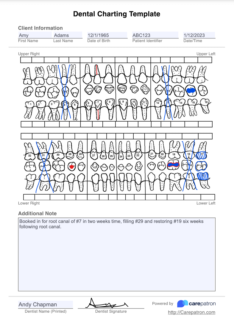 Free Spanish Printable Dental Charting Forms Printabl Vrogue co