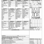 Home Health Care Charting Forms