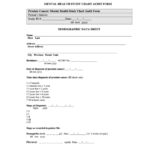 Mental Health Chart Audit Form Printable Example Printable Forms Free