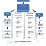 PBIS Behavior Flowchart