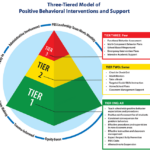 Positive Behavior Support Mental Health Wellness Support Vanguard