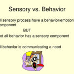 PPT Sensory Integration PowerPoint Presentation Free Download ID