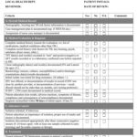 Printable Medical Chart Audit Template