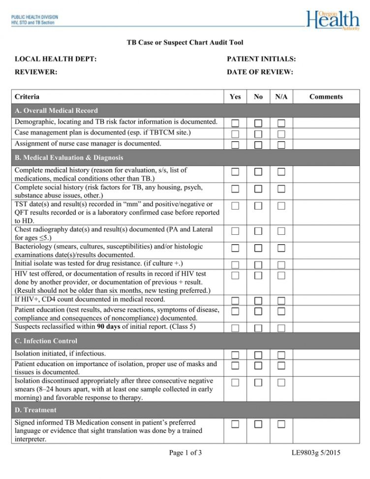 Printable Medical Chart Audit Template