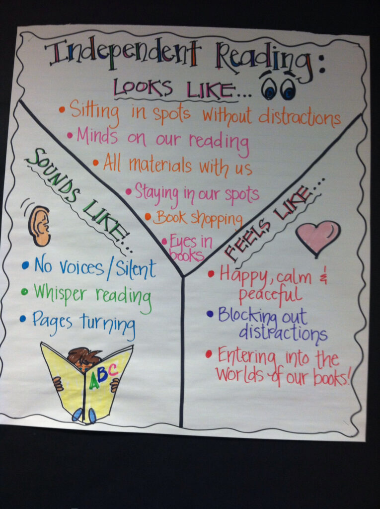 Students Established Expectations For Independent Reading Reading 